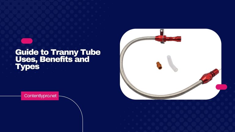 Guide to Tranny Tube - Uses, Benefits and Types